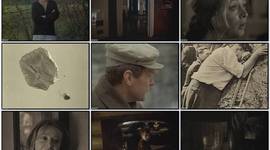 Timeline: Зеркало Тарковского