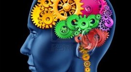 Timeline: A Stroke of Kindness: Girl Scout Gold Award Timeline