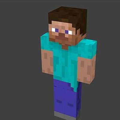 Timeline: The Story of Steve