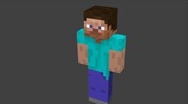 Timeline: The Story of Steve