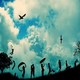 Life wallpaper