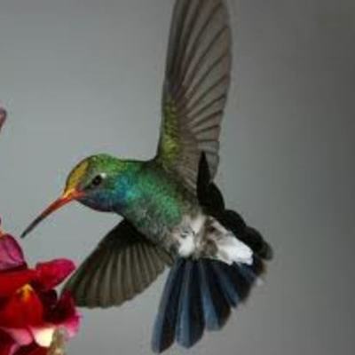 Timeline: My Developmental Stages