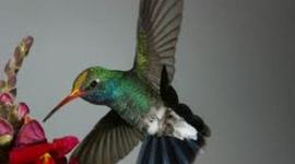 Timeline: My Developmental Stages