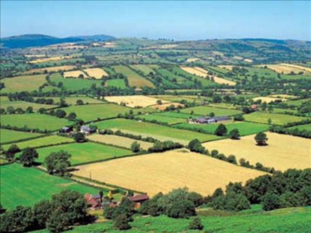Medieval Farming: Agriculture in a Feudal World