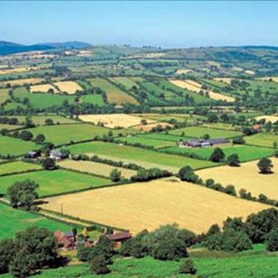 Timeline: European History - Agricultural Technology and Change (1300-1800)