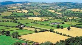 Timeline: European History - Agricultural Technology and Change (1300-1800)