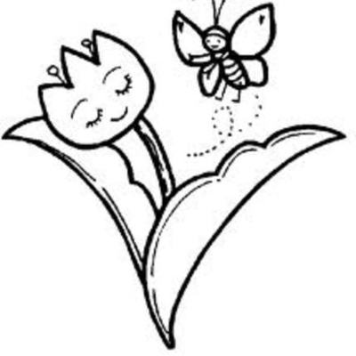 Timeline: Persiki Polemi