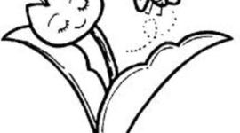 Timeline: Persiki Polemi