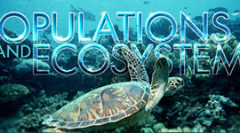 Timeline: Speices Adaptation