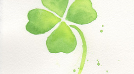 Timeline: outsider amy jasmine