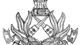 Timeline: Mustafa Raja's Timeline