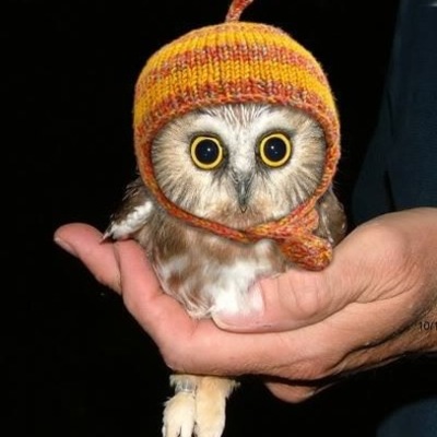 Timeline: The development of English Spelling Systems