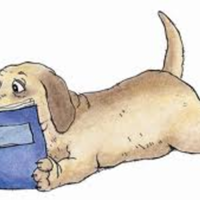 Timeline: 2013 Reading Log