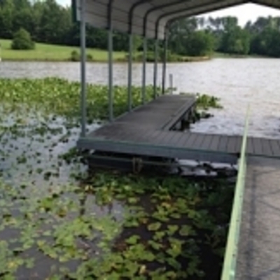 Timeline: Lake Management