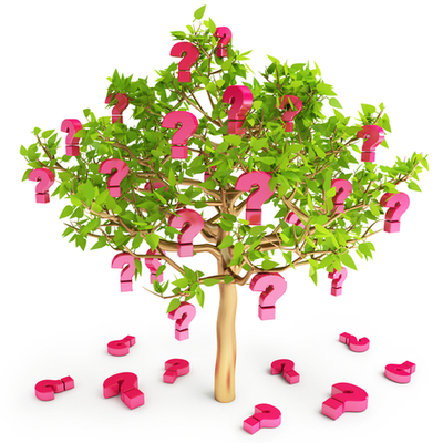 Timeline: גישות בפדגוגיות