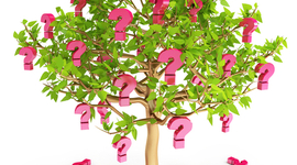 Timeline: גישות בפדגוגיות