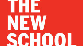 Timeline: Zlatko Dimitrioski's Work Experience