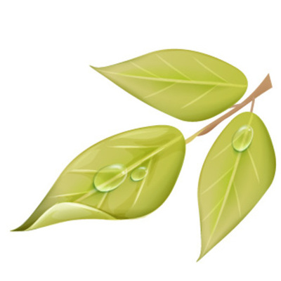 Timeline: Desarrollo Sustentable del Turismo (El Avance a tráves del Tiempo) MIRT