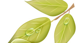 Timeline: Desarrollo Sustentable del Turismo (El Avance a tráves del Tiempo) MIRT