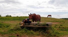 Timeline: Online Safety