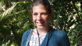 Timeline: The New Republic Portfolio Project Fisher Social Studies 8