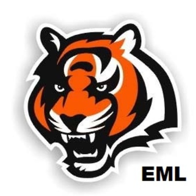 Timeline: Madden Bengals