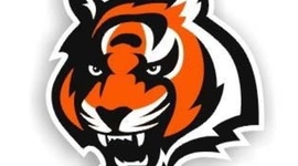 Timeline: Madden Bengals