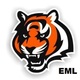 Cincinnatibengals