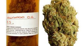Timeline: History of Medical Marijuana