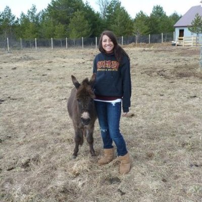 Timeline: My Timeline