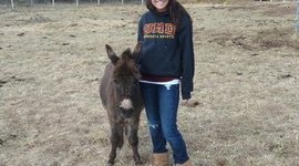 Timeline: My Timeline