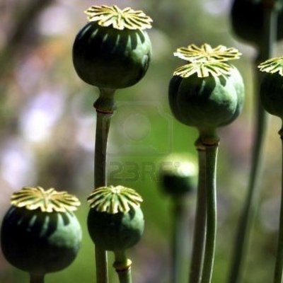 Timeline: First Opium War