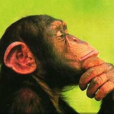 Timeline: Reyes de España, Inglaterra y Francia en la Edad Moderna