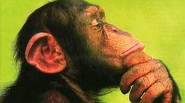 Timeline: Reyes de España, Inglaterra y Francia en la Edad Moderna