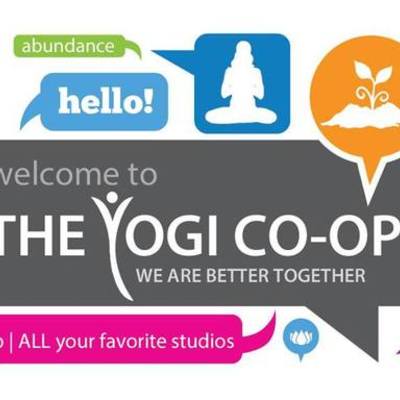 Timeline: The Yogi Co-Op
