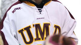 Timeline: Brienna's Timeline