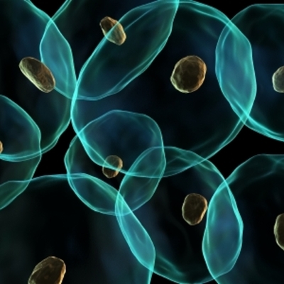 Timeline: The Development of Cell Theory