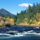 Rogue river  siskiyou national forest  oregon