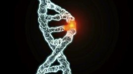 Timeline: History of Gene Therapy