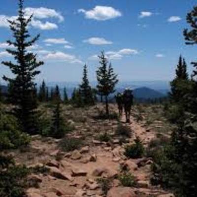 Timeline: Planning a trip to the TOT @ philmont