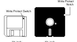 Timeline: Random Stuff