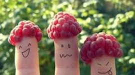 Timeline: Reading Log 2013