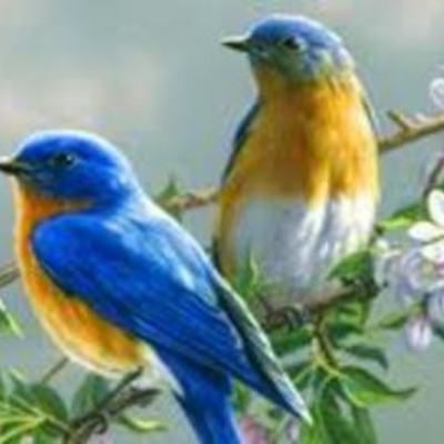 Timeline: Journey of Customer Support - Skyscape