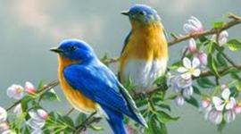 Timeline: Journey of Customer Support - Skyscape