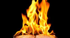 Timeline: "Manuscripts Don't Burn"