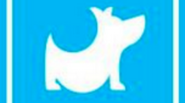 Timeline: History of Belly