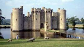 Timeline: EDAD_MEDIA