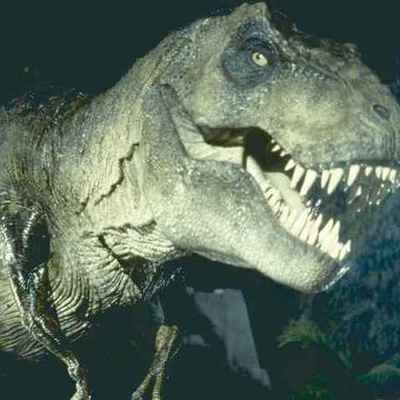 Timeline: T REX