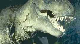 Timeline: T REX