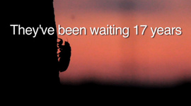 Timeline: Life Cycle of the Cicada